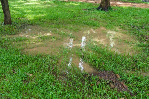 Storm Water Drainage Service in Fort Wayne