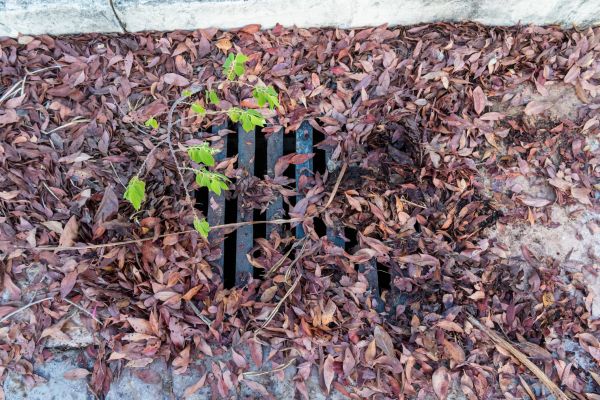 Yard Drain Unclogging in Fort Wayne