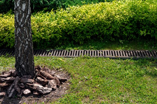 Wet Yard Drainage in Fort Wayne