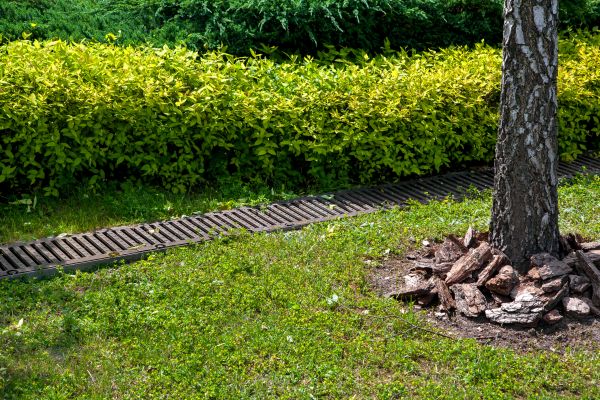 Residential Landscape Drainage in Fort Wayne