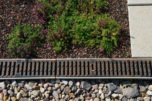 Drainage System Placement